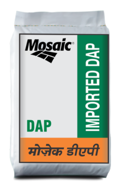 Mosaic India banner
