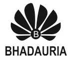Bhadauria Infotech Private Limited