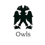 Owls Tattoo